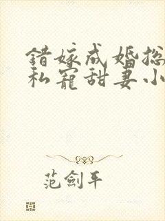 错嫁成婚总裁的私宠甜妻小说