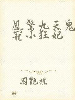 凤惊九天鬼帝溺宠小狂妃