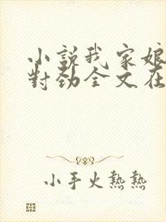 小说我家娘子不对劲全文在线阅读