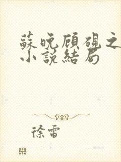 苏晚顾砚之原著小说结局封面