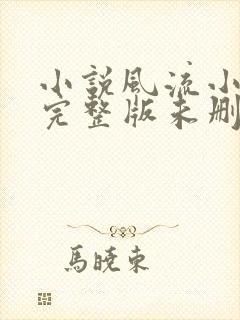 小说风流小傻医完整版未删减小说