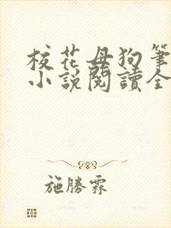 校花母狗笔趣阁小说阅读全文封面
