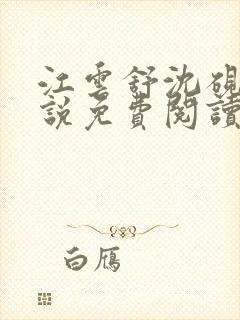 江云舒沈砚舟小说免费阅读最新章节