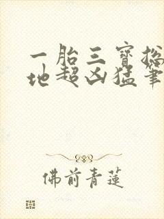 一胎三宝总裁爹地超凶猛笔趣阁