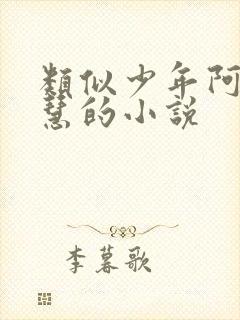 类似少年阿宾钰慧的小说