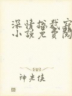 深情总裁宠不停小说免费阅读