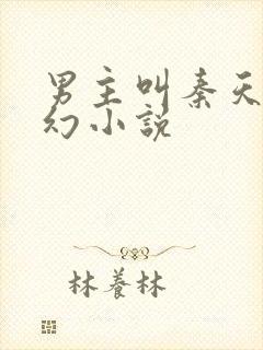 男主叫秦天的玄幻小说