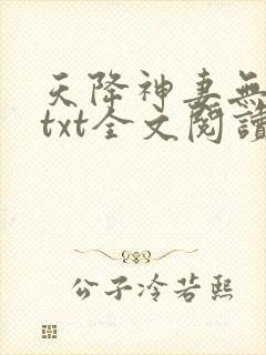 天降神妻无删减txt全文阅读下载