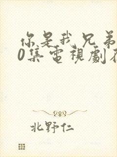 你是我兄弟全40集电视剧在线播放免费封面