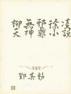 柳无邪徐凌雪吞天神鼎小说封面