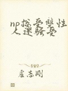 np总受双性万人迷骚受