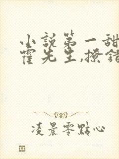 小说第一甜妻:霍先生,撩错了免费阅读