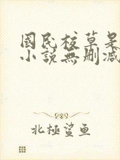 国民校草是女生小说无删减