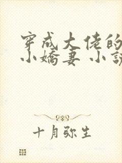 穿成大佬的反派小娇妻 小说封面