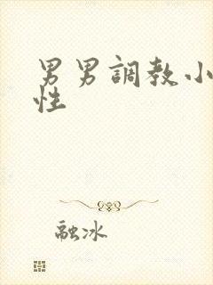 男男调教小说双性封面