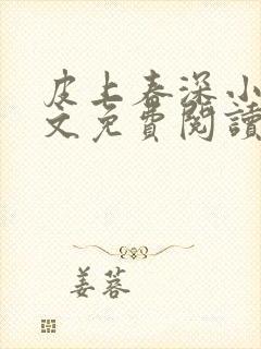 皮上春深小说全文免费阅读