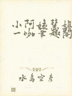 小阿姨慧姐小辉一咖笔趣阁全文阅读封面