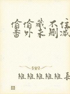 偷偷藏不住新婚番外未删减txt封面