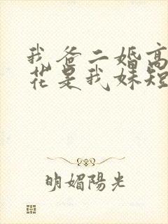 我爸二婚高冷校花是我妹短剧剧情