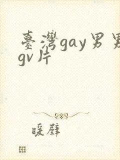 台湾gay男男gv片