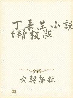 丁长生小说txt精校版封面
