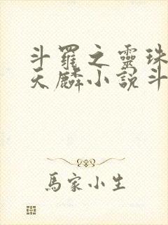 斗罗之灵珠神剑天麟小说斗