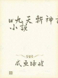 w九天斩神诀》小说