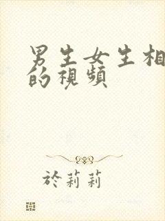 男生女生相互操的视频