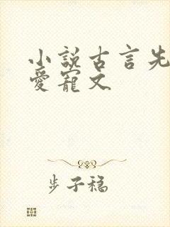 小说古言先婚后爱宠文封面