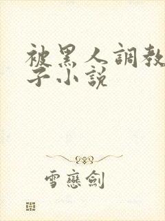 被黑人调教的妻子小说封面