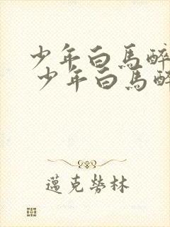 少年白马醉春风 少年白马醉春风封面