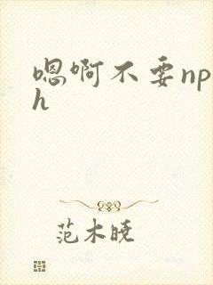 嗯啊不要np高h封面