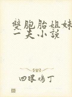 双胞胎姐妹共侍一夫小说