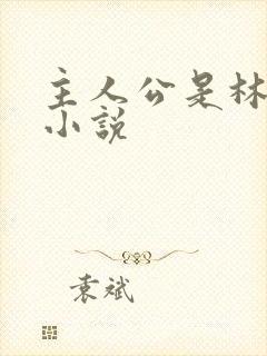 主人公是林正的小说