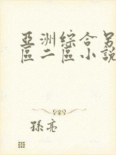 亚洲综合另类一区二区小说封面