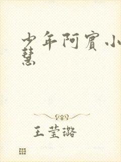 少年阿宾小说钰慧