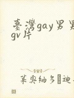 台湾gay男男gv片