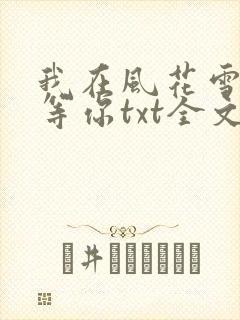 我在风花雪月里等你txt全文下载