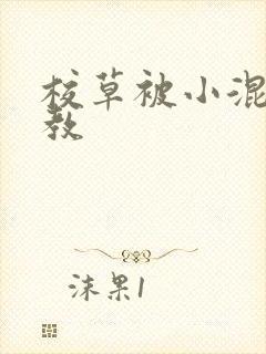 校草被小混混调教