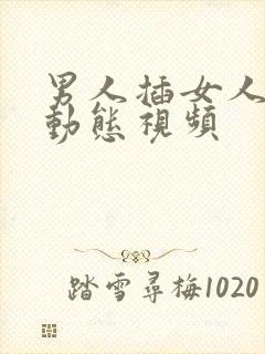 男人插女人下面动态视频