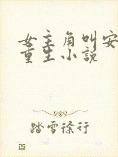 女主角叫安夏的重生小说