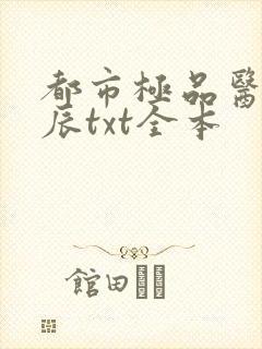 都市极品医神叶辰txt全本