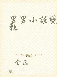 男男小说双性调教