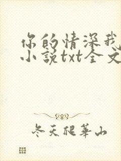 你的情深我不配小说txt全文下载