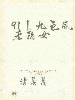 91丨九色风韵老熟女