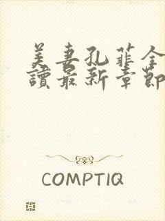 美妻孔菲全文阅读最新章节封面