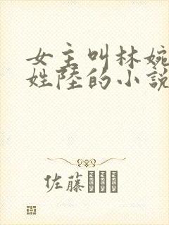 女主叫林婉男主姓陆的小说