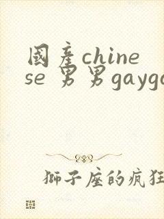国产chinese 男男gaygay网站