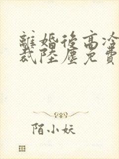 离婚后高冷女总裁陆尘免费封面