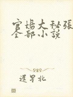 官场大秘张向阳全部小说